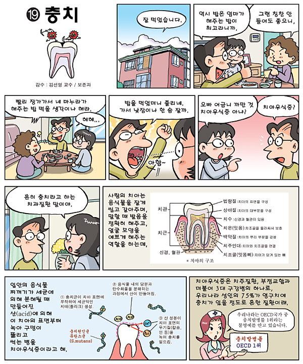 만화로 읽는 치과상식 33